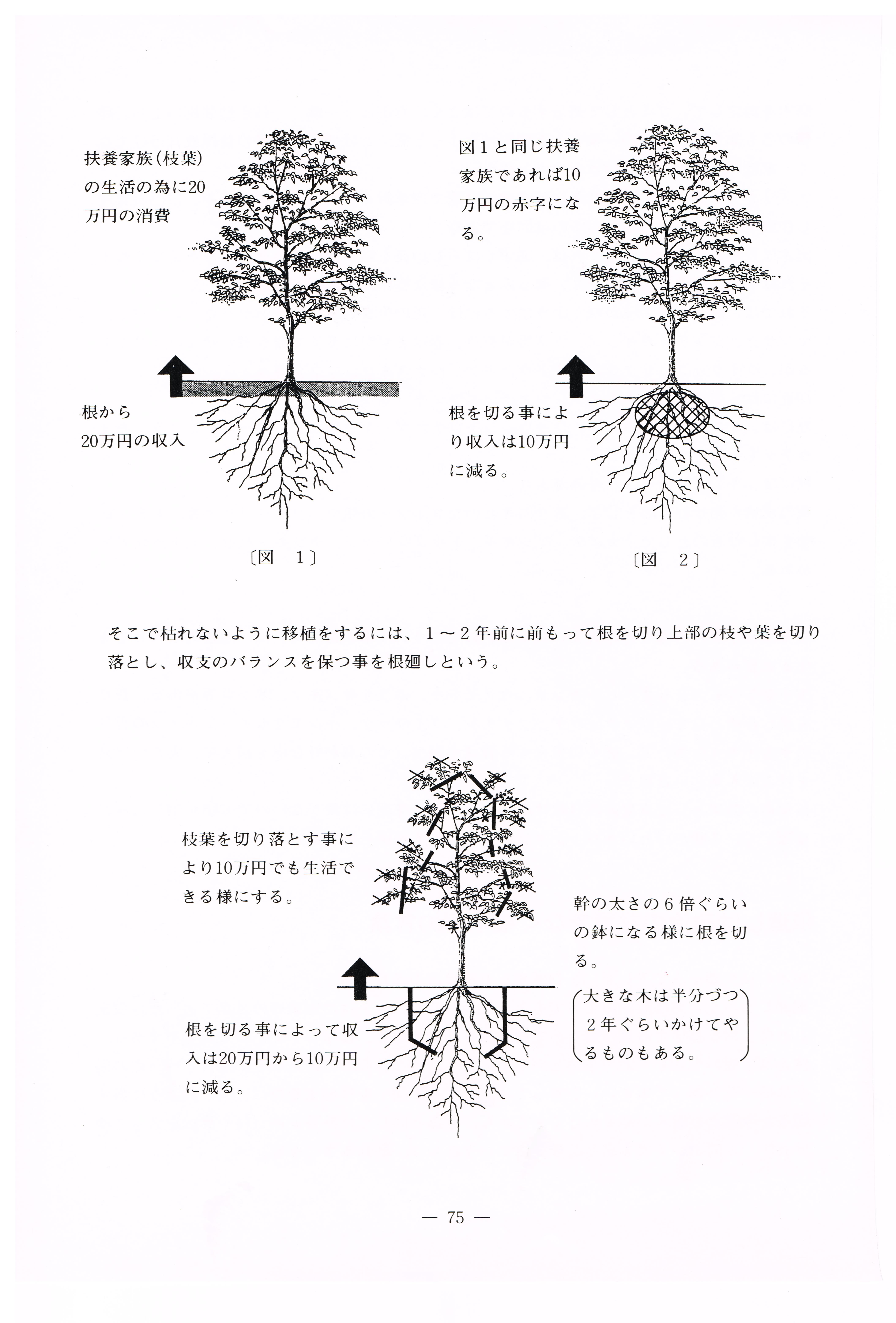 植木を移植するための 根回し とは 庭じまい 庭の終活