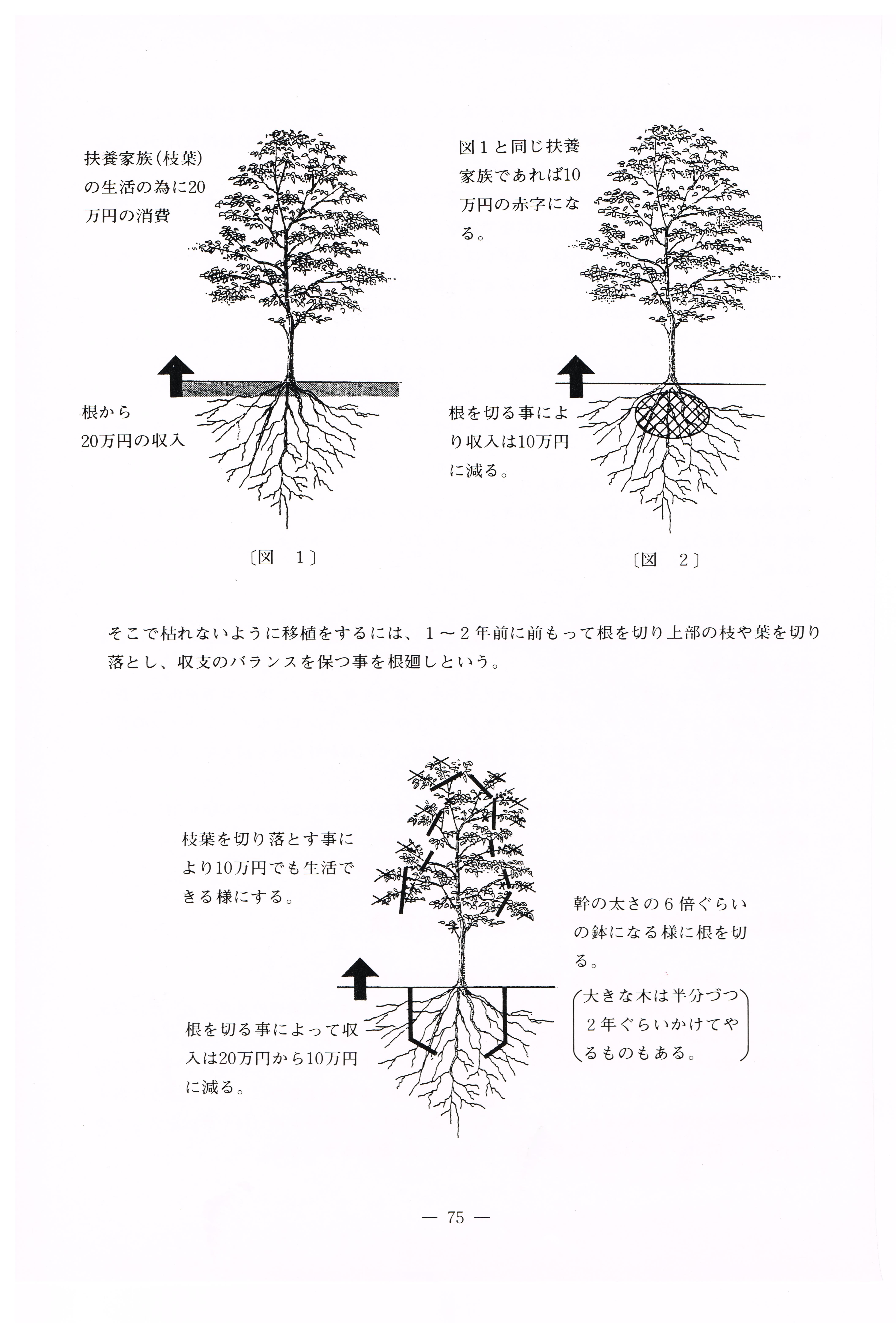 植木を移植するための「根回し」とは? 庭じまい・庭の終活